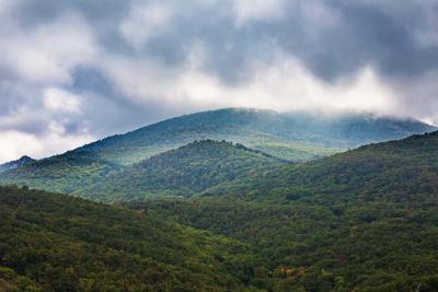 Прикрепленное изображение: IMG_3681.jpg